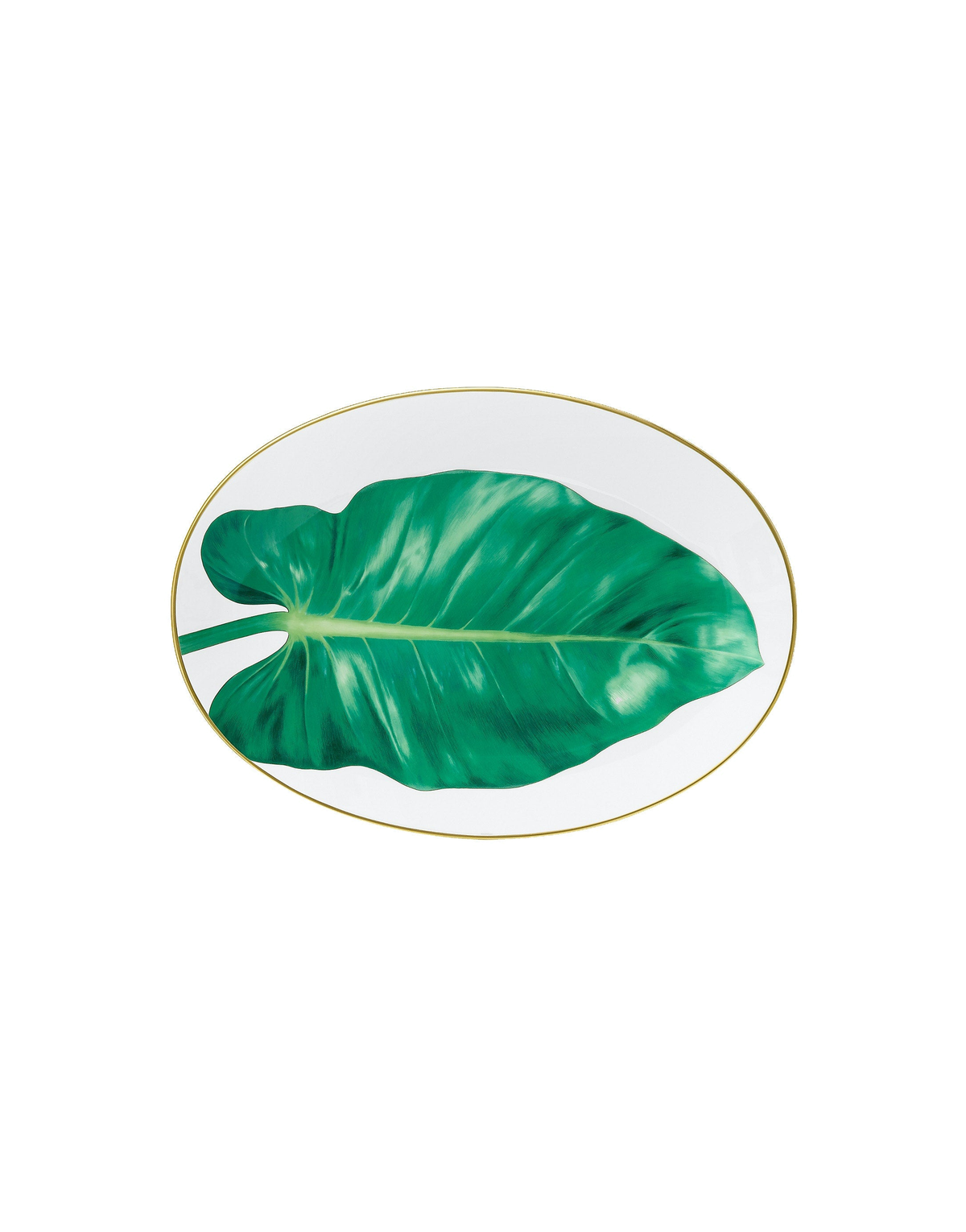 Hermès Passifolia Medium oval platter — 42 cm, white background